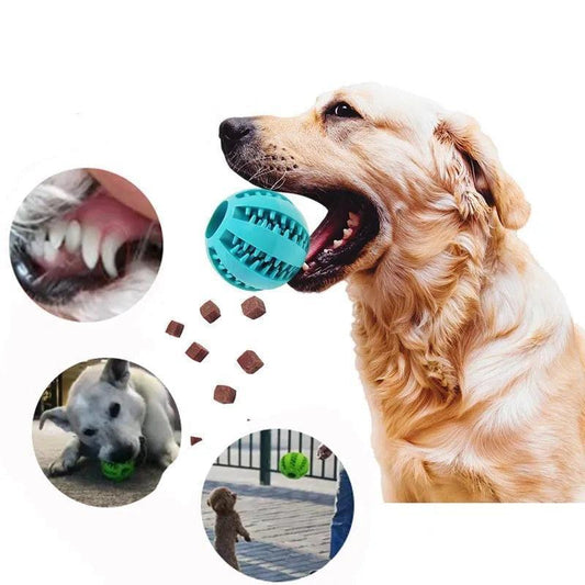 Brinquedo Estimulante Para Cães - Lojeri
