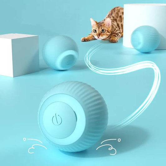 Brinquedos de bola inteligente para gato - Lojeri