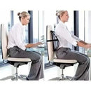 Suporte Lombar de Encosto Para Cadeiras e poltronas - Lojeri